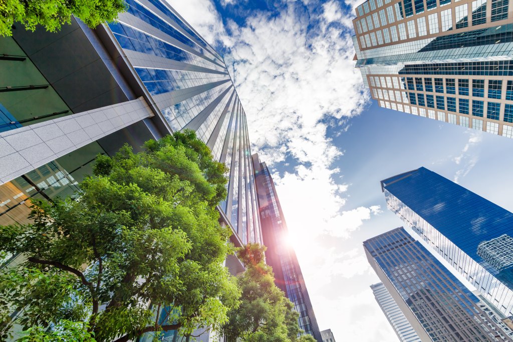 Picture of tall buildings from below with trees and blue sky.